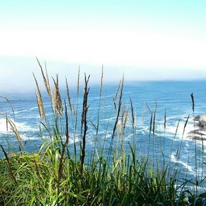 Meet your Posher, Evelyn